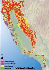 Aerial Detection Surveys Mortality similar to 2011 levels 511,000 acres of elevated mortality mapped in