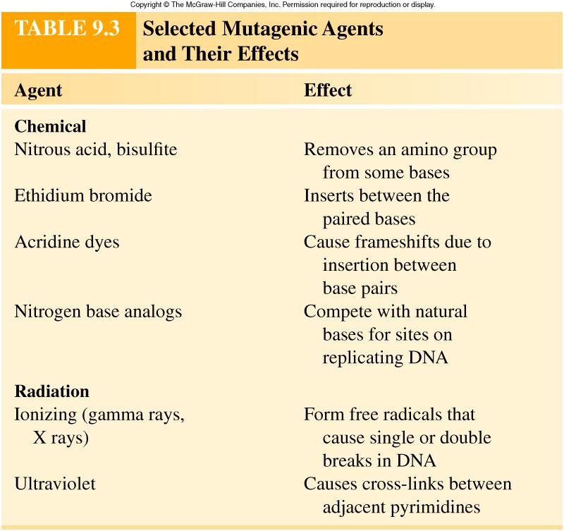 Examples of chemical and radioactive mutagens, and their