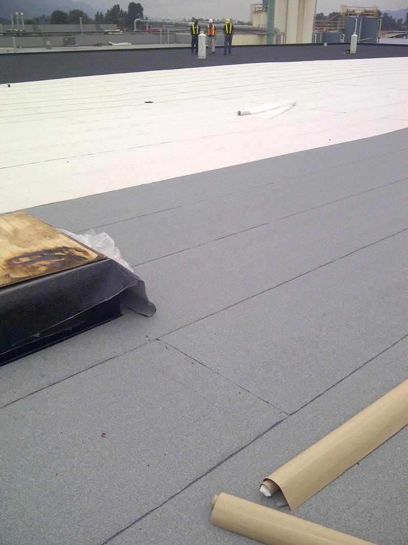 Roof Membrane Colours 3 different 2-ply SBS roof membrane cap sheet