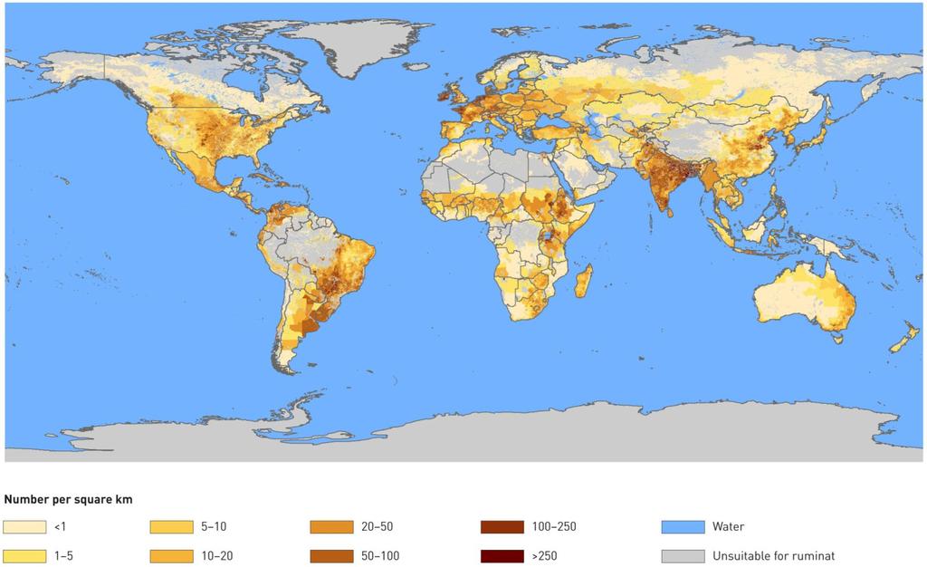 Estimated Global Distribution of Cattle Great percentage of tropical grazing area is under some degree of degradation, demanding: recovery pasture renovation improve management intensification