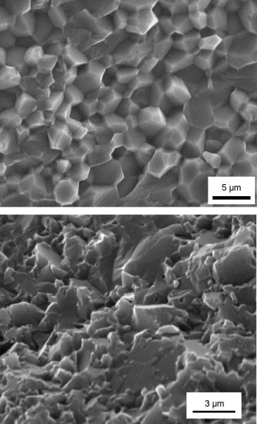 NANOCOMPOSITES Scanning electron micrographs of (a)inter-granular fracture surface of alumina and a change in fracture mode from intergranular in monolithic alumina to