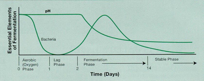Fermentation Process ph 6.0 Lactic acid Bacteria ph 3.8-5.