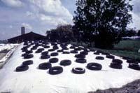 Bonded White Plastic Covers UV resistant Tear strength Comparing Silage Covers Chopped Alfalfa Silage Ashern 1998 Top 6" Black well sealed Black loose White well sealed Moisture 74.4 70.5 74.