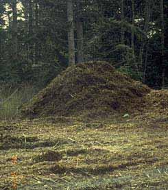 Reuse Natural Groundcover Protect stockpiles
