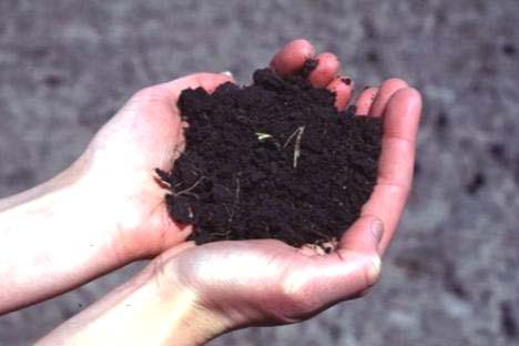 Organic Matter Content of Soils California soils range from <1.0 to 3.