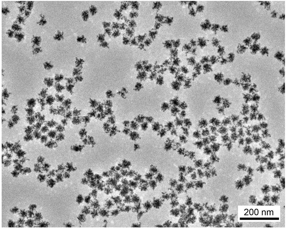 Figure S1. TEM image of 45 nm AuPBs at low magnification. Figure S2.