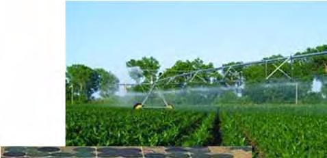 Irrigation Move