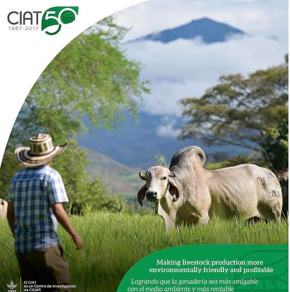 Environmental footprints of livestock prodn TRENDS Optimizing livestock productivity (output per unit of land/feed/energy input) Promoting integrated bio-resource