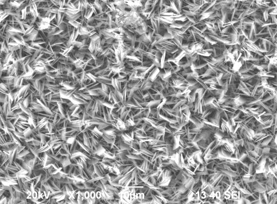 1000X magnification Iron carbonate dissolution Figure 13: SEM images of FeCO 3 precipitation