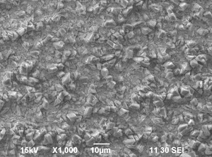 SEI image at 1000X magnification Raman optical image at 1000X magnification - prisms Raman optical image at 1000X magnification exposed substrate Figure 16: Raman