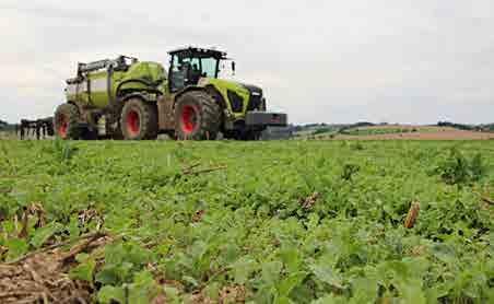 Storing organic manure If you store organic manure on your land, it is important to read the information on the Storing organic manures in nitrate vulnerable zones page on GOV.UK.