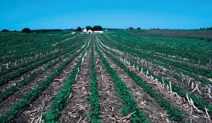 Cover Crops (cont.) Where Used: Any cropland Cost: Can vary significantly by cover crop.