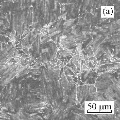 Fig. 2. SEM micrographs showing the typical microstructure of centrifugally cast Ti-45Al- 8Nb-0.2B-0.2C (at.