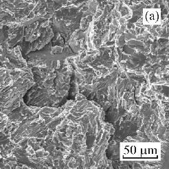 Fig. 6. SEM micrographs showing fracture features of Ti-45Al-8Nb-0.2B-0.2C (at.
