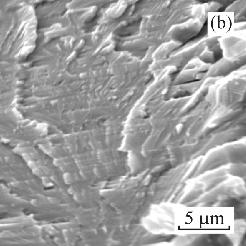 surface. determined to evaluate statistically the reproducibility of casting and heat treatment processes for the studied alloy. Fig.