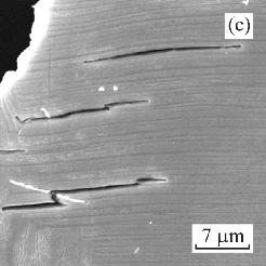 6a, the fracture path follows also the grain boundaries in a direction perpendicular to the fracture surface. Fig. 6b shows the fracture surface with the lamellar grain and few boride particles. Fig. 6c shows longitudinal section in the vicinity of the fracture surface.