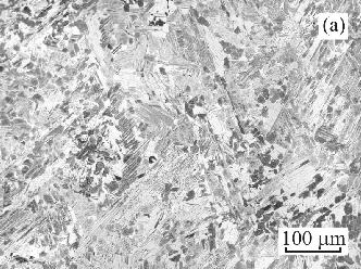 3. Effect of casting technology on room-temperature tensile properties The typical microstructure of the ingots from Ti-46Al-8Nb (at.%) alloy is shown in Fig. 7.