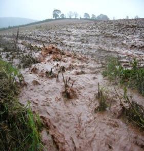 flooding, Richard Smith, EA Poor soil condition is widespread in South West,