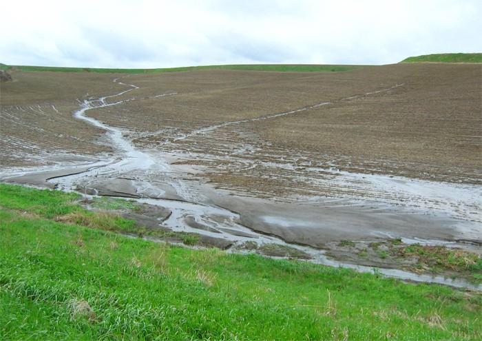 P a g e 8 Farmers are working to make a difference: In 1982, an average of 7.3 TONS of topsoil washed or blew away from every acre of cultivated cropland in the U.S. By 2003, the rate of soil erosion had dropped to 4.