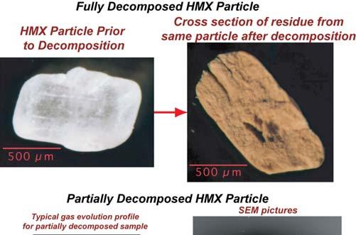 Thermal decomposition of HMX