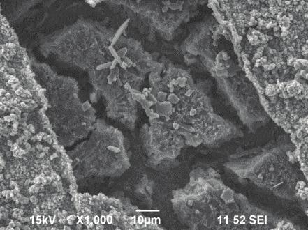 using pyrite particle deposit in Experiment #2: x50 SEM image; x2,000 SEM