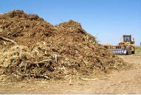 Trash (leaves, tops) Whole stick green or burned Bagasse (milling operations waste).