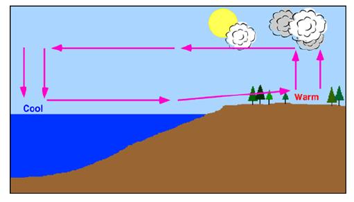 Example: Sea Breezes & Land Breezes are driven by CONVECTION COOL