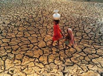 Thirsty corn in Iowa Drought in India Gigi A.