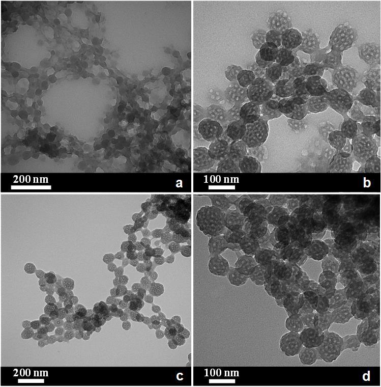 Supplementary Figure S11 TEM images.