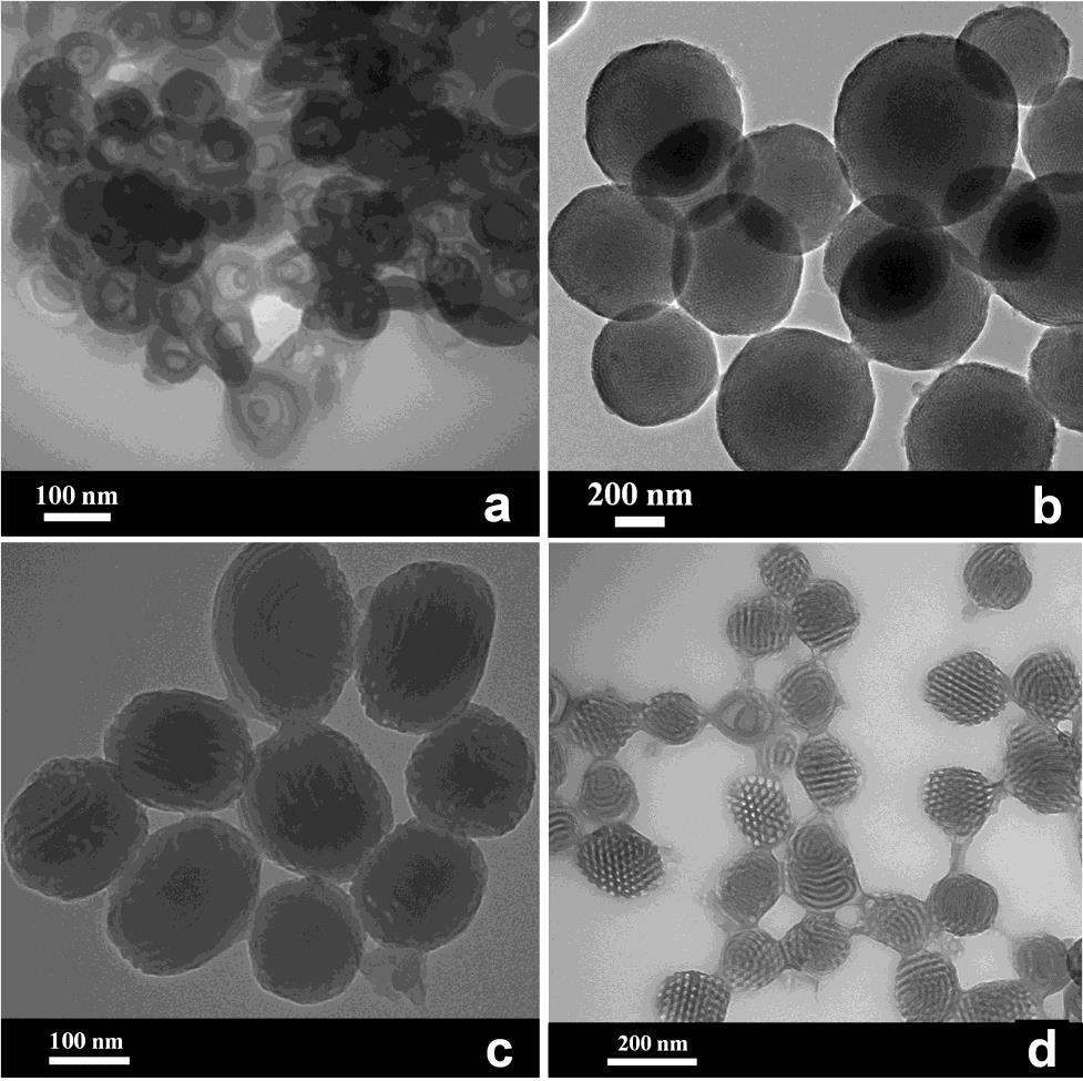 Supplementary Figure S12 TEM images.