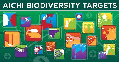 Canada s Commitments Aichi Target 11 At the 2010 Conference of the Parties for the Convention on Biological Diversity (CBD), Canada and 195 other member states adopted the Aichi Biodiversity Targets,