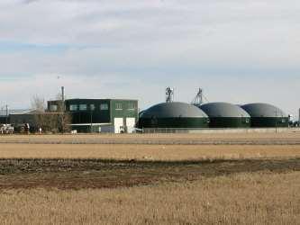 The Alberta Biogas Opportunity Agriculture Cattle - 5.4M head 1 Pigs - 1.5M head 1 2.