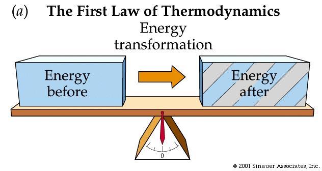 Rules of Energy Transfer The 1 st Law of Thermodynamics (Law of Conservation of Energy) When energy is converted from one form to another, no energy is created or destroyed it