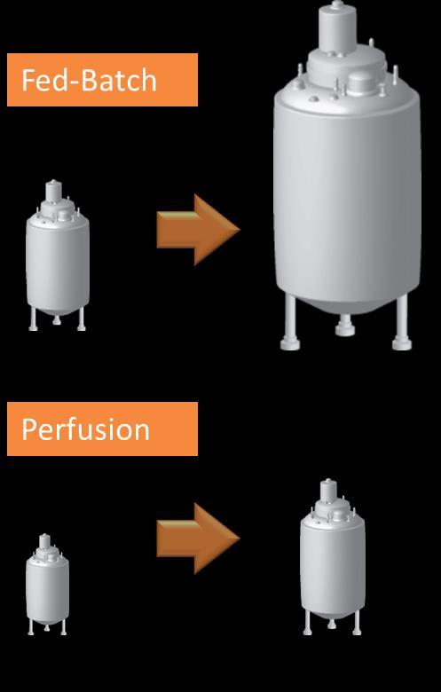 Perfusion Process What are the benefits?