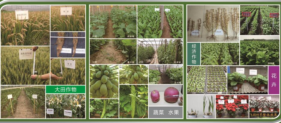 In 5 years, we have tested with various plants in 16 provinces throughout China in varying season, climate and soil conditions.
