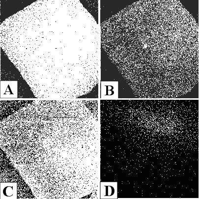 SIMS of the Niobium Coating 23 Chemical Image of as received Nb coating A: Potassium,