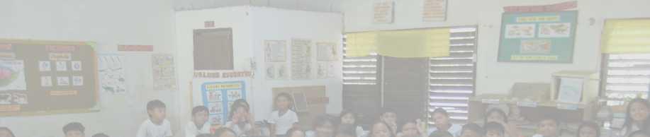Philippines Project Title: Promoting education for