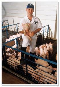 SWINE PRODUCTION Types of Swine Operations: Nursery Manages