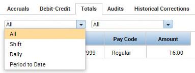 Field Name Account Pay Code Amount Description The account shows where the time is being charged and is broken down by: Default 999/Entity/Department Number/Manager ID/Job Code/Default 999/Pay group.