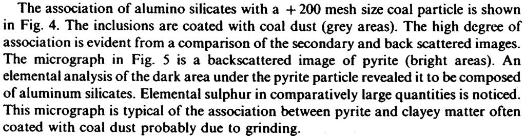 96 R. RAMESH and P. SOMASUNDARAN FIGURE 3 The association of alumino silicates with a + 200 mesh size coal particle is shown in Fig. 4.
