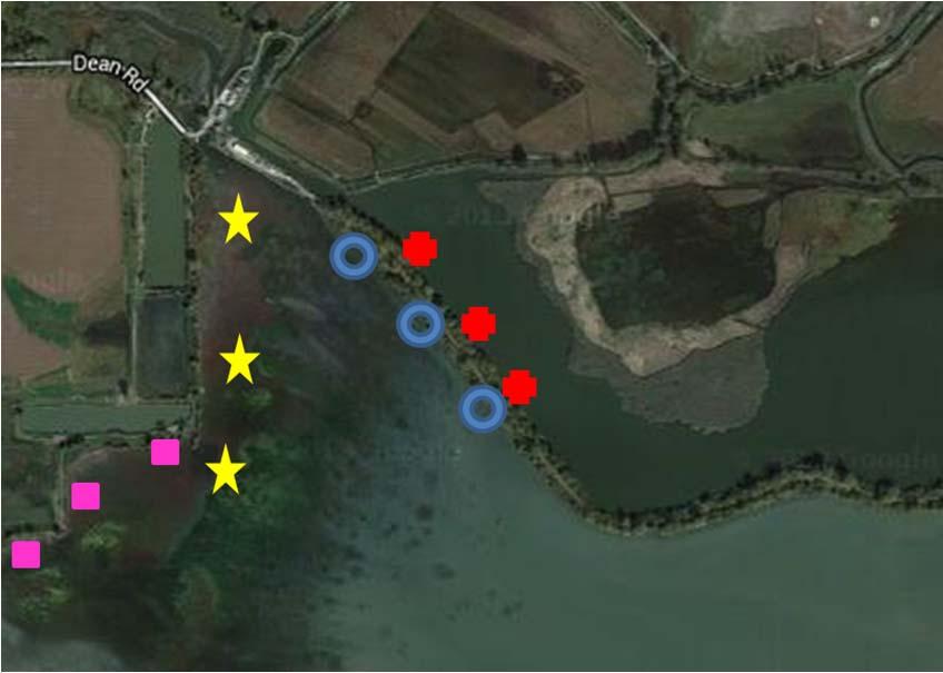 Examples of our data in action: Erie Marsh Annual sampling since