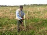 Protecting Young Seedlings Tree Shelters Maintenance Source of Supply