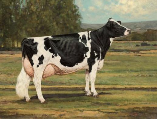 Holsteins Profit-oriented farmers of today know that the