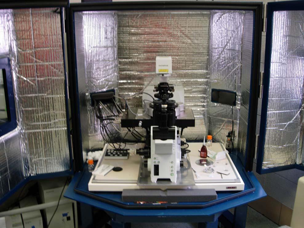 Imaging Facility Olympus Fluoview 1000 Confocal Laser Scanning Biological