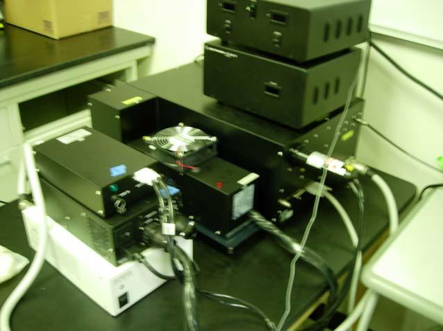 Olympus Fluoview FV1000 Lasers: Multi-line Argon (457nm, 488nm, 515nm) HeNe gas (543nm)