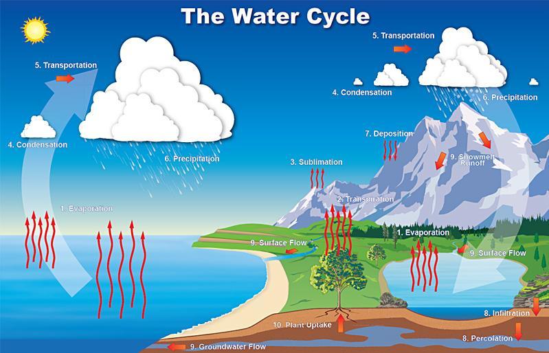 2) Movement of water through the Earth s water cycle a) Each of the water cycle cubes represents one portion of the water cycle.