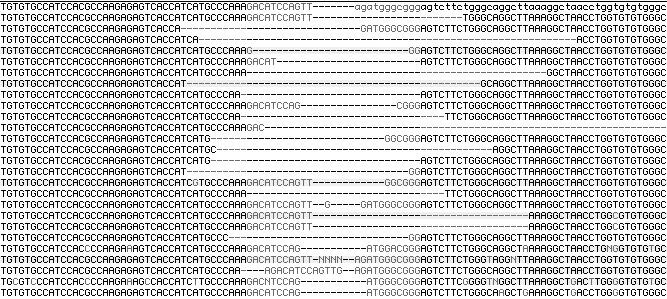 Supplementary Table 2I Translocation Junctions in Polq ΔRad51 cells Der(6) Chr-11 Chr-6 211 nt Supplementary Tables 2A-I: Sequences of Der (6) breakpoint junction from CCE mes cells with the