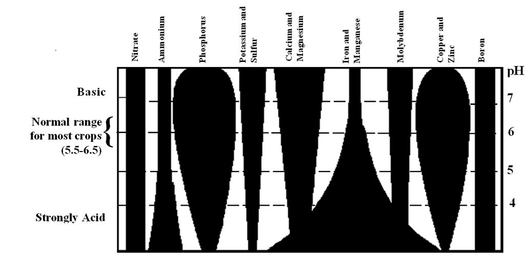Figure 1. The impact of media ph on the availability of plant nutrients. ph AND ALKALINITY ph ph is a measure of the relative acidity (hydrogen ion concentration) in the water supply.