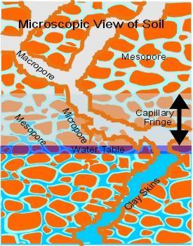 Capillary Fringe and Soil Pore-Size Distribution See