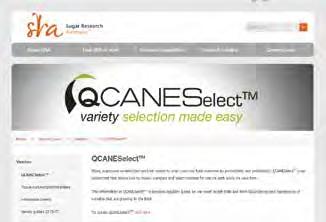 Consult QCANESelect, the SRA online variety information and decision support tool, to choose a variety for planting. Go to tools.sugarresearch.com.au/ QCANESelect.